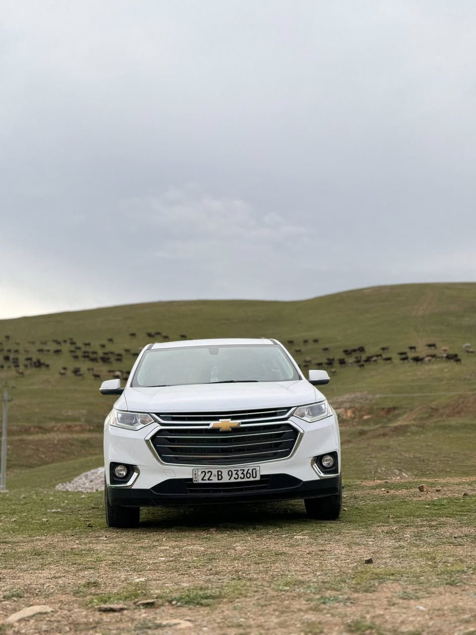 سلام عليكم
ترافلز للبيع موديل 2021 اللون ابيض رقم شمالي محرك 6 سلندر 3600 LT كشنات سياحي محرك وكير جديد
ضربتها خفيف جانبيه بچم كبس
صور حادثها بالمنشور
سعر 210 وبيها مجال بسيط
مكاني كربلاء


**إذا كنت صاحب هذا الإعلان وتريد حذفه لأي سبب، رجاءا أرسل رسالة إلى الدعم الفني**