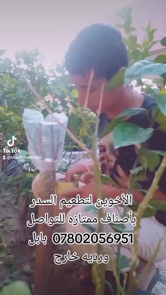 للتواصل ***********
