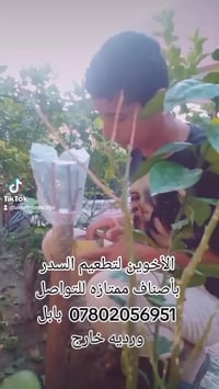 بابل • ورديه خارج • خدمات