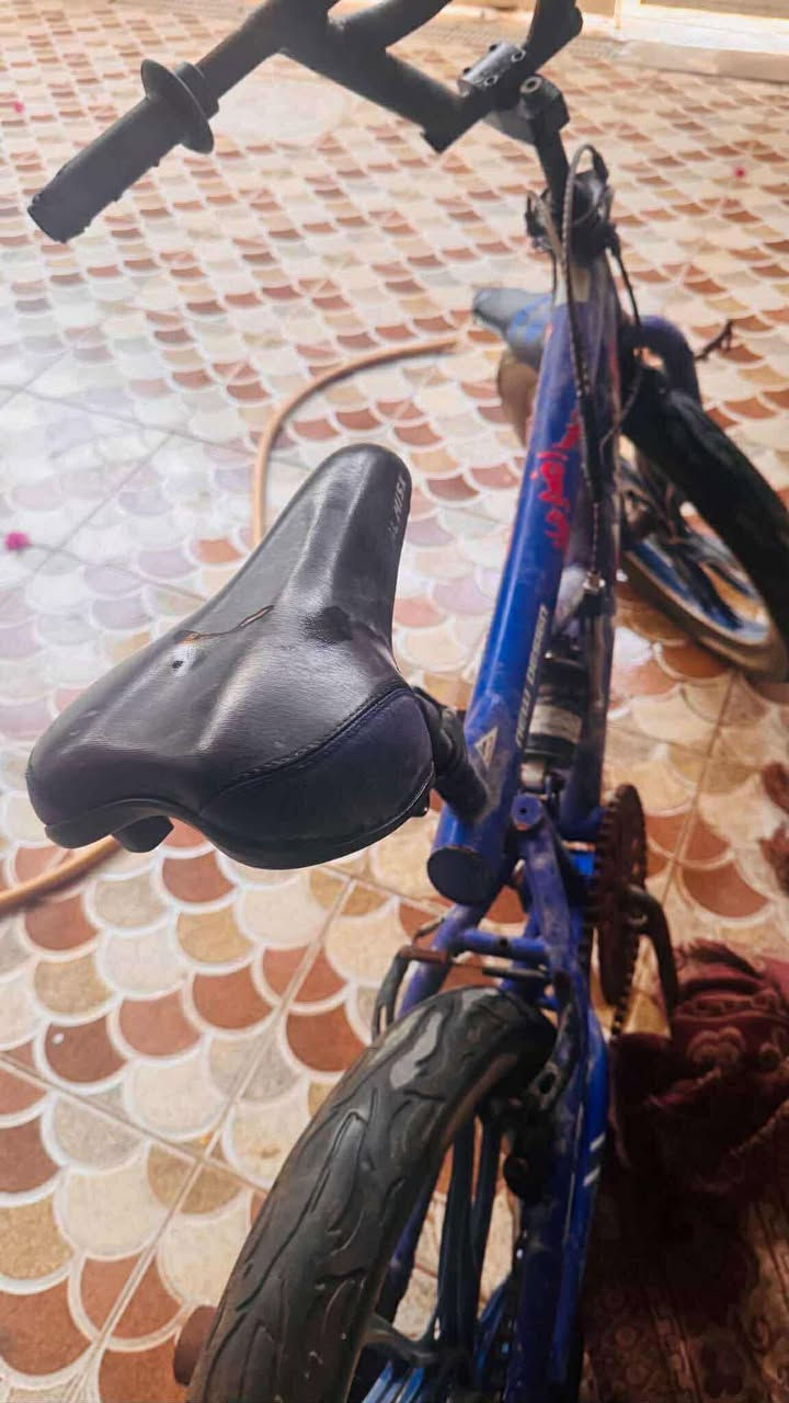 للبيع السعر25


**إذا كنت صاحب هذا الإعلان وتريد حذفه لأي سبب، رجاءا أرسل رسالة إلى الدعم الفني**