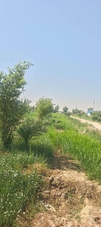 مطلوب فلاح • عمل بستان • فلاح مع سكن • طاقه شمسيه • وظيفة زراعة • عمل ...