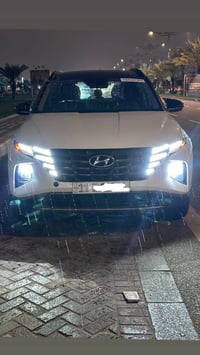 توسان هايبرد • ٢٠٢٤ • ساحت مضفر