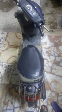 منغولي • نضيفه • بصره