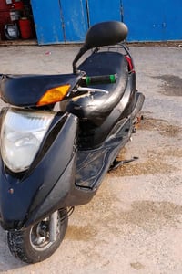 ابريز • بدون أوراق • مراوس