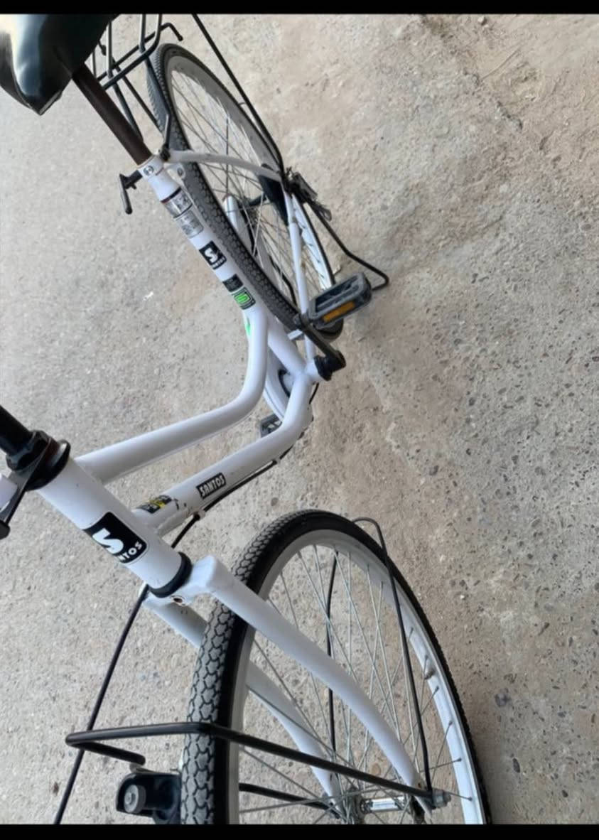 سلام عليكم باسكلات للبيع أو مراوس بكير شراي خاص


**إذا كنت صاحب هذا الإعلان وتريد حذفه لأي سبب، رجاءا أرسل رسالة إلى الدعم الفني**