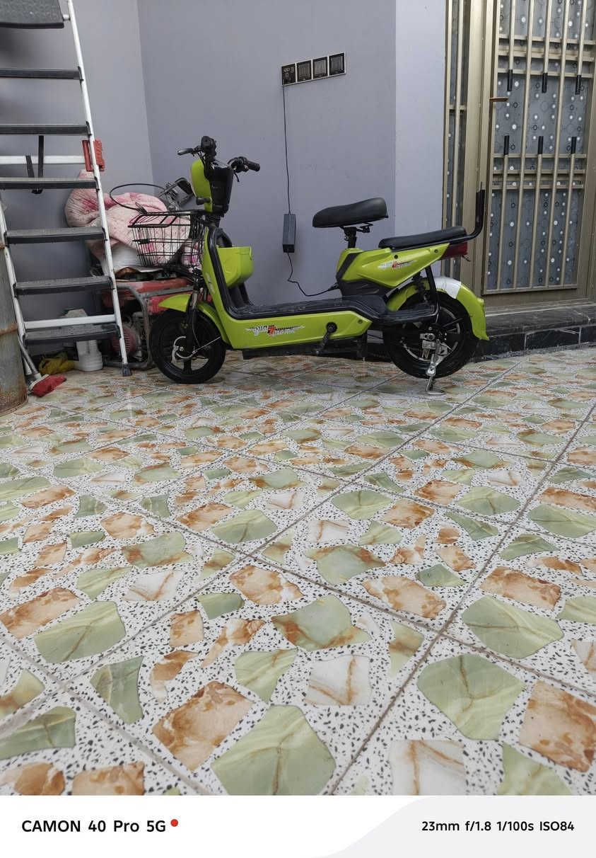 دراجه آر ١٤ عله شحن بيهه  ٣سرعات البيع سعر 250وبيهه مجال
رقم ***********
