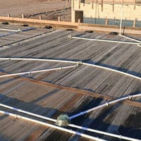 3 عمال • الديوانية • النجف