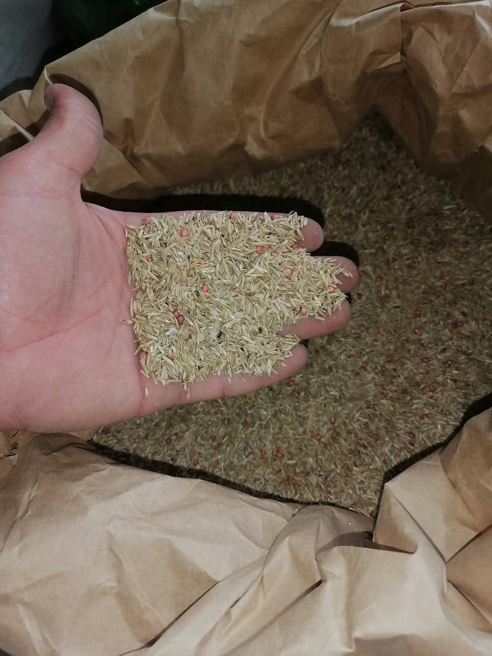 تم بحمد وصول وجبه جديده من الشعير الصيفي بونيكام اصباني مرشات ٢ لتر عادي اصلي مرشه ١٦ لتر علف أربيل فيد بقري تسمين اسعار مناسبه جدآ جدآ جدآ جمله مفرد العنوان القياره قريه الجدعه الشارع العام مقابل مجمع ابو عطيه رقم الهاتف *********** علي
