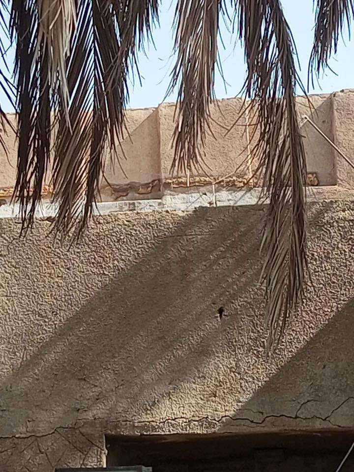 دار للبيع بناء قديم في الميكانيك ٢٠٠
انباع ١٠٠وبقت ١٠٠
الجبهه٥

والنزال ٢٠

شارع عريض جدا 

عرض الشارع ٢٣

شارع المدارس قريب على ثانوية البتول للاستفسار اكثر 
التواصل على الخاص 
او الاتصال على الرقم 

***********

ابو رحيم ***********
