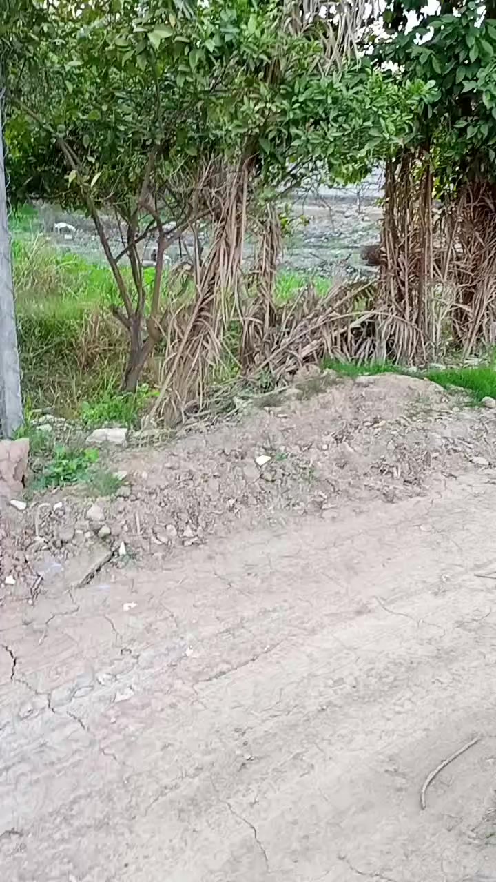 قطعه المساحه 400متر طابو زراعي كافة الخدمات متوفره يمه واجه 16 نزال 25 العنوان بغداد الراشديه منطقة الساده البحيات تبعد 50,متر عن الشارع الرئيسي اليربط بين الجزيره السياحيه وناحية  الراشديه قرب مدرسة الواح الخضراء
***********
