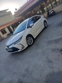 كورلا • ٢٠٢٥ • ماشي ٨٠٠٠