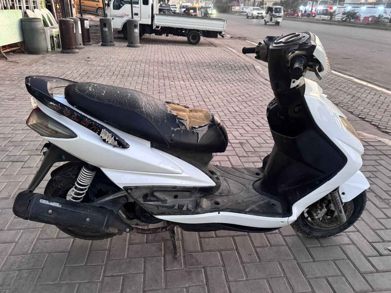 السلام عليكم سكنس فحل للبيع السعر ٦٥٠ رقم ***********
