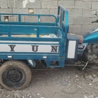 ستوته • موديل 15 • الكوت النوار البيضاء