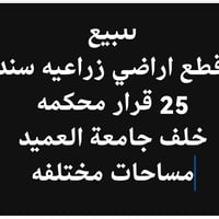 خلف جامعة العميد • ماء كهرباء مجاري • ١٠٠م
