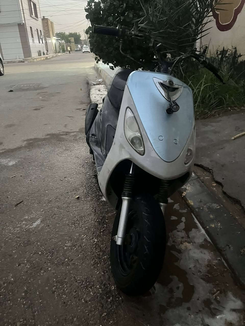 منغولي نضيف ورياضي مستعجل ع بيعته سعر ٤٥٠ وباقي التفاصيل خاص مكاني ناصريه الاسكان الصناعي


**إذا كنت صاحب هذا الإعلان وتريد حذفه لأي سبب، رجاءا أرسل رسالة إلى الدعم الفني**