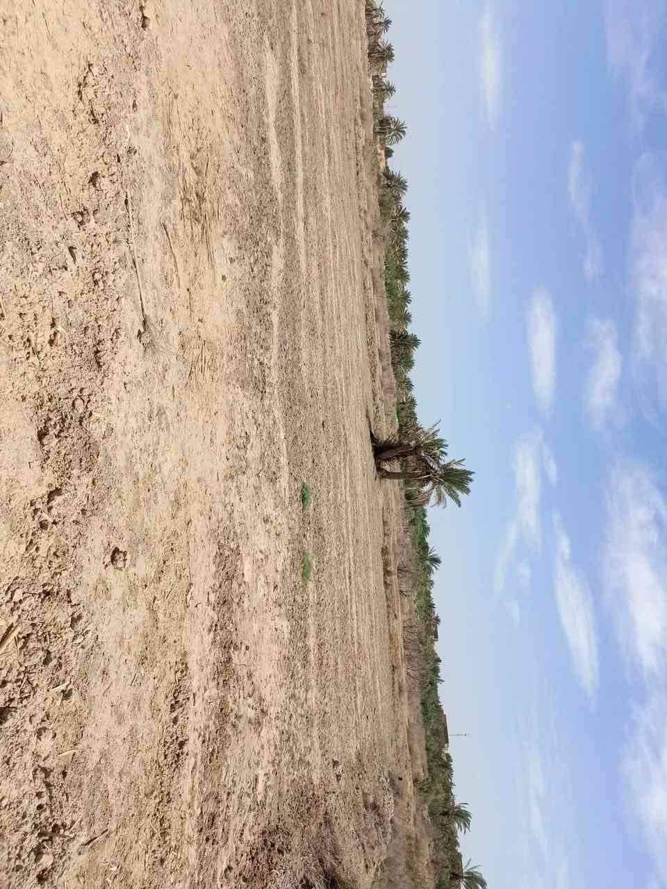 دونمين للبيع زراعي على شارعين نهايته قريت النصر عن البيوت تقريبن 200متر ماي وكهرباء متوفره ساكيه موجوده مايكطع بيها دوم الاستفسار ***********

