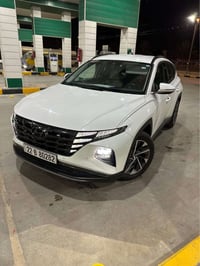 توكسان فول • ٢٠٢٣ • رقم اربيل