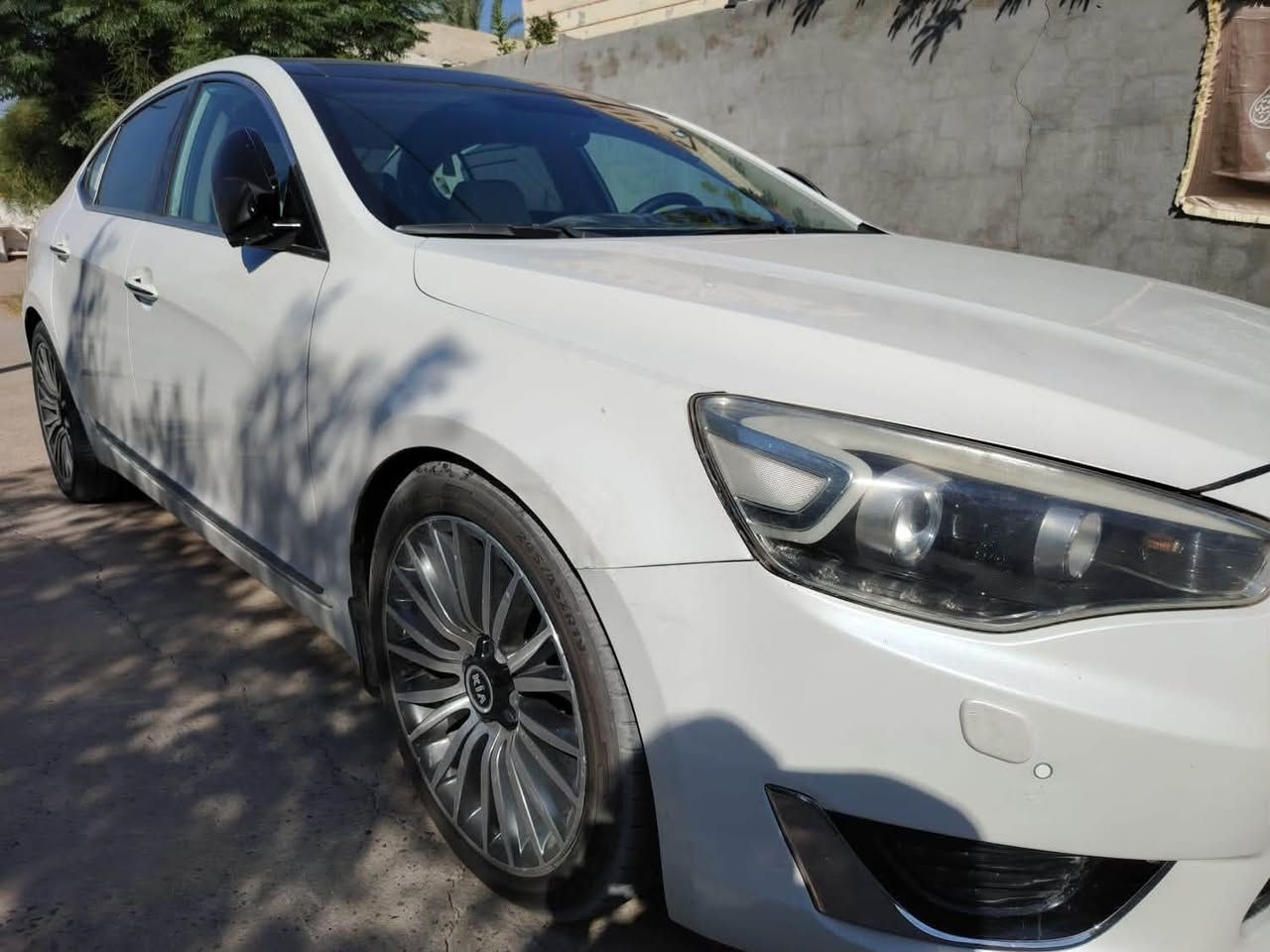 للبيع. كيا. كادنزا 2014.  V6/3500 
خليجي وكاله الگاصد. فول مواصفات 
بدون حادث بيهه بارد  وكلير باب خلف سايق 
محرك مبدل رواجز مفتوح وجه فقط 
كير كفاله من فتح وعيب 
تخم ويل 19 بلادي 
باتري جديد  مواصفات الفول واضحه بالصور ميحتاج اكتبهم 
درايف شفت جدد شادهم قبل فتره 
تخم نوزلات بلادي  
يعني جاهزه 
هزه جديده لل2027 
تحويل شوكت متحب 
مكاني طويريج كربلاء 
***********
السعر 145 وبيهه مجال. ❤️
