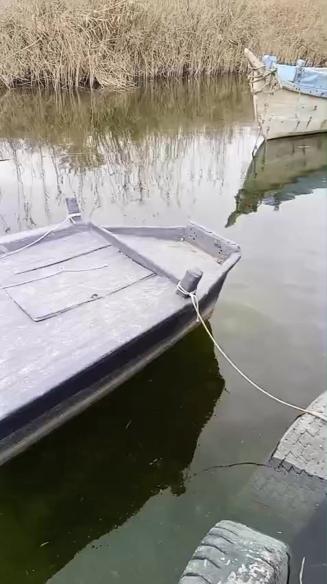 جينكوا الطول 7متر السعر750وبيها مجال مكان كرمت علي ***********
