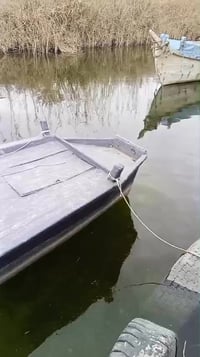 جينكوا • ٧متر • كرمت علي