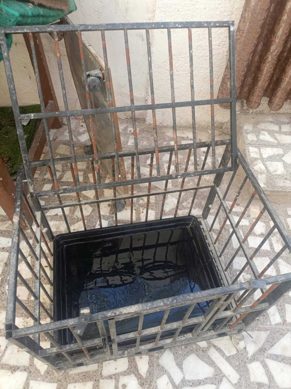 غراض للبيع كلمن وسعره مكاني نجف


**إذا كنت صاحب هذا الإعلان وتريد حذفه لأي سبب، رجاءا أرسل رسالة إلى الدعم الفني**