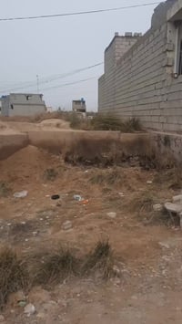 بعقوبة/بهرز • ٢٠٠م(١٠×٢٠) • طابو زراعي