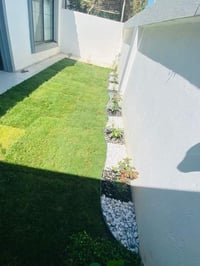 أربيل • تنسيق حدائق • قص تيل