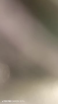 دراجه نامه شاصي 20 غراضه والمكينه 2025هاذا رقمي  07863308062