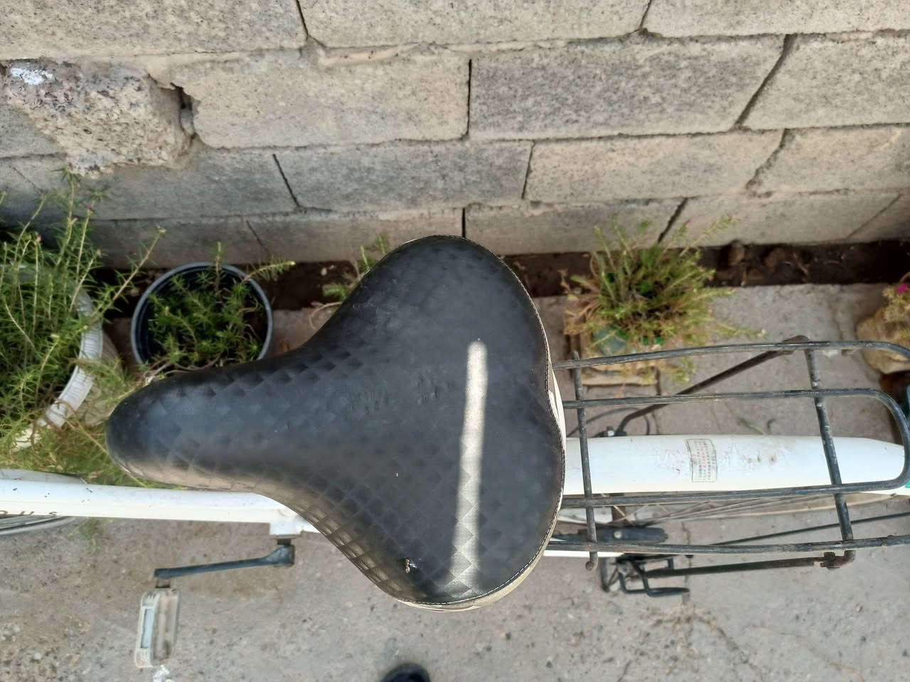 للبيع بايسكل نظيف سال 80


**إذا كنت صاحب هذا الإعلان وتريد حذفه لأي سبب، رجاءا أرسل رسالة إلى الدعم الفني**