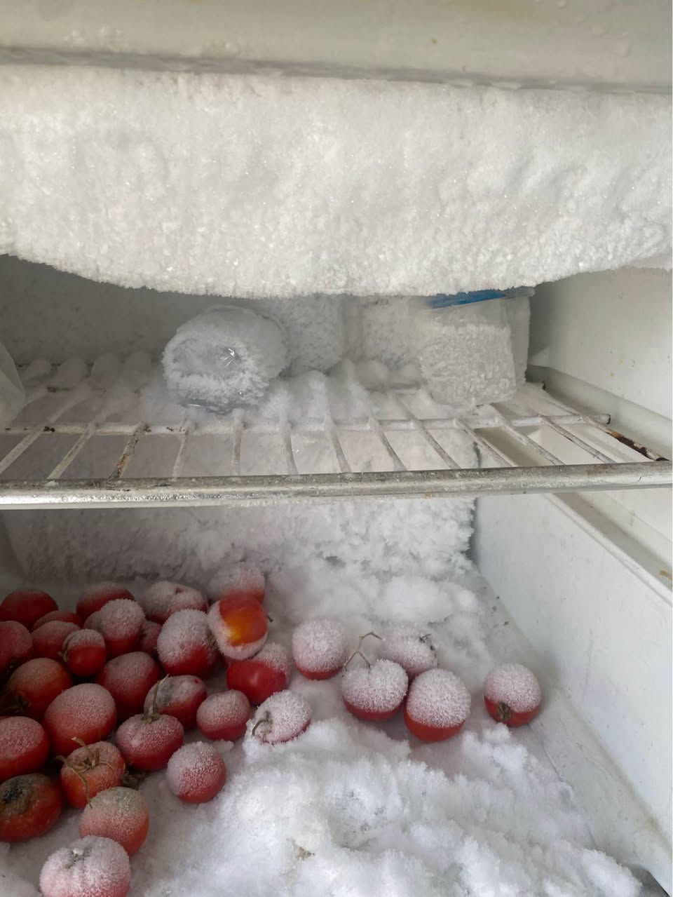 ثلاجه حجم كبير شرط الشغل ثلج ❄️ كل تصليح ما داخله كربلاء الحر *********** كربلاء, العراق
