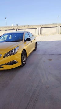 وارد امريكي • ٢٠١٥ • كفاله عامه