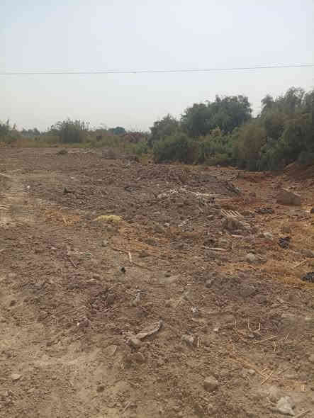 سلام عليكم ارض زراعيه للبيع الف متر بل عباسيه عله تبليط وكهربا وماي ***********
