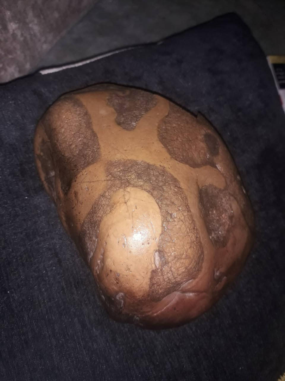 للبيع


**إذا كنت صاحب هذا الإعلان وتريد حذفه لأي سبب، رجاءا أرسل رسالة إلى الدعم الفني**