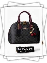 نوفا LV • قشاط قابل للتعديل • جملة