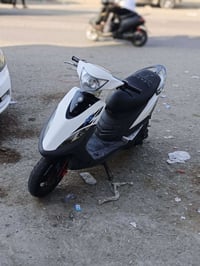 سكنس فحل • شغال