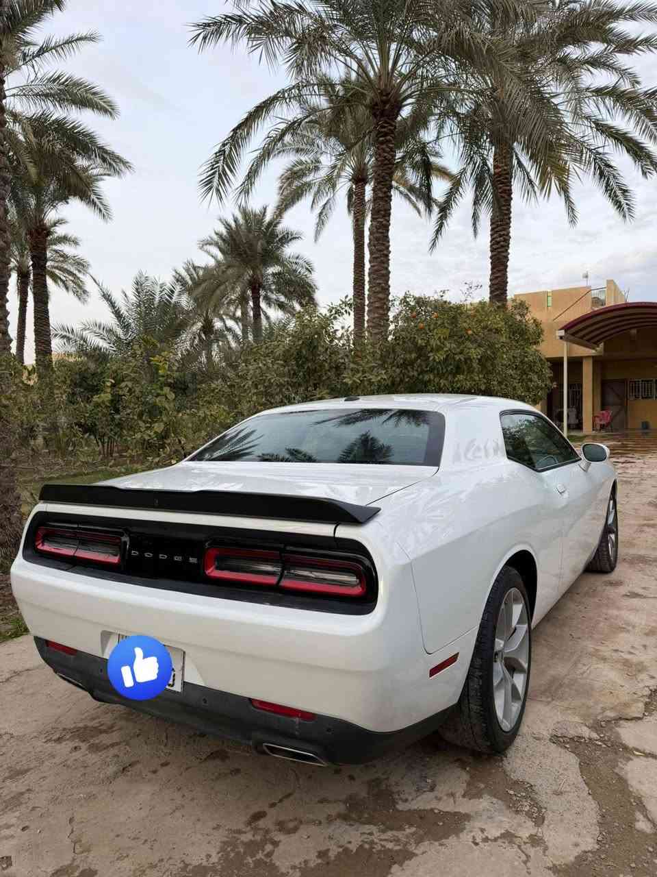 السلام عليكم
جالنجر للبيع GT 
موديل 23 
ماشيه 39 
سياره جديده 
بأسمي رقم بغداد


**إذا كنت صاحب هذا الإعلان وتريد حذفه لأي سبب، رجاءا أرسل رسالة إلى الدعم الفني**