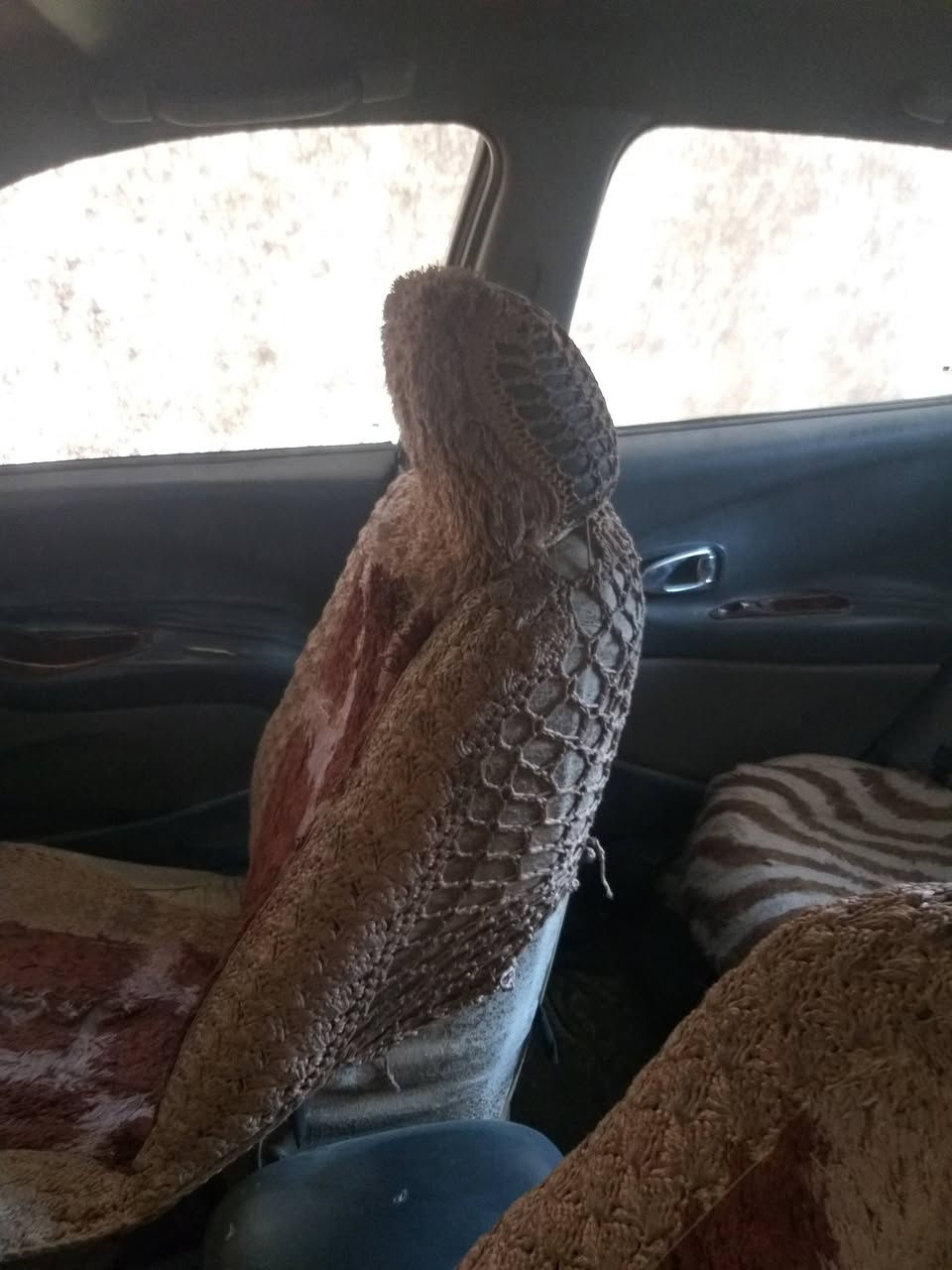 دايو لكنزا موديل ١٠٩٩رقم مثنى وراعيه بلسماوه سنويه صاقطه حائز ثالث عندي بيه وكاله راعيه بلسماوه ب٣٣وبيه مجال الاتصال على الرقم ***********

