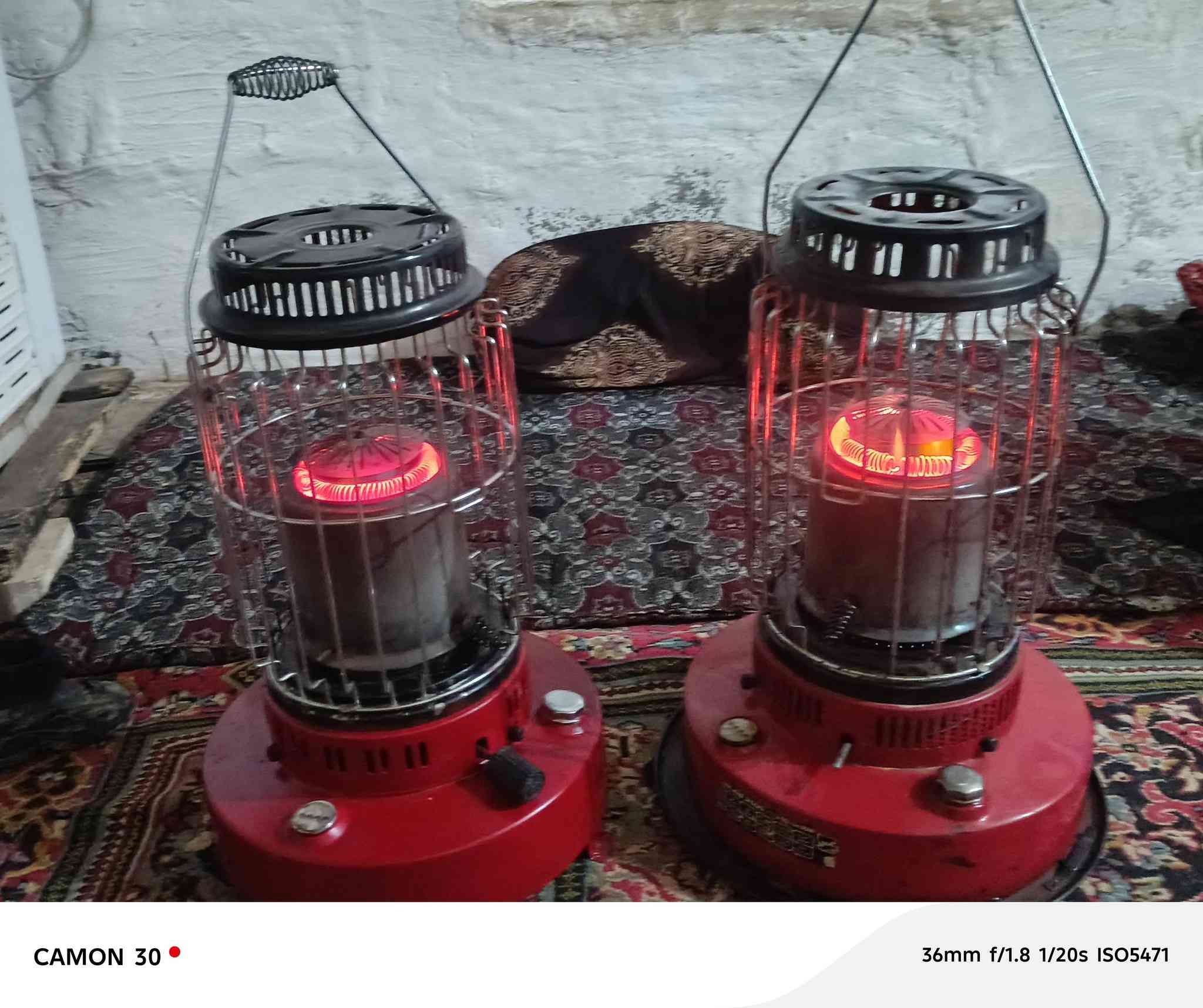 زوبات للبيع اب ما بيهن رايده 22 40/***********
