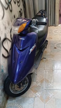 عصفوريه • نضيفه • بوشه بستم