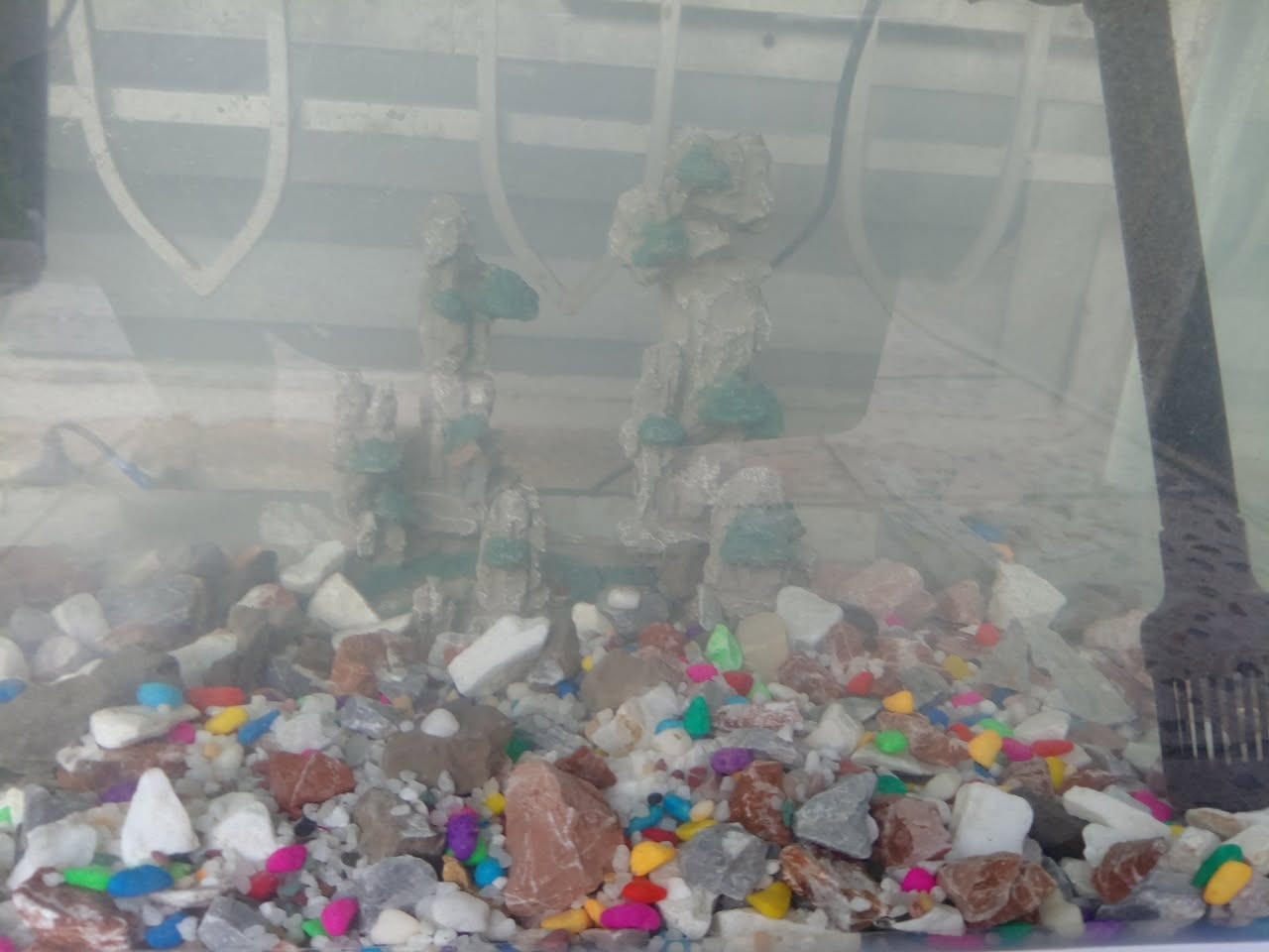 حوض سمك عرض 50 سم
ارتفاع 40سم
نزال 30 سم
مع 2 ماطور مي مع الاحجار والملحقات
بسعر 50 ألف
مكانه بالدورة


**إذا كنت صاحب هذا الإعلان وتريد حذفه لأي سبب، رجاءا أرسل رسالة إلى الدعم الفني**