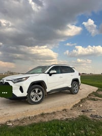 راف فور XLE • هايبرد • رقم كركوك