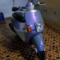 كوت داموك المثلث  ماشيه 43 الف