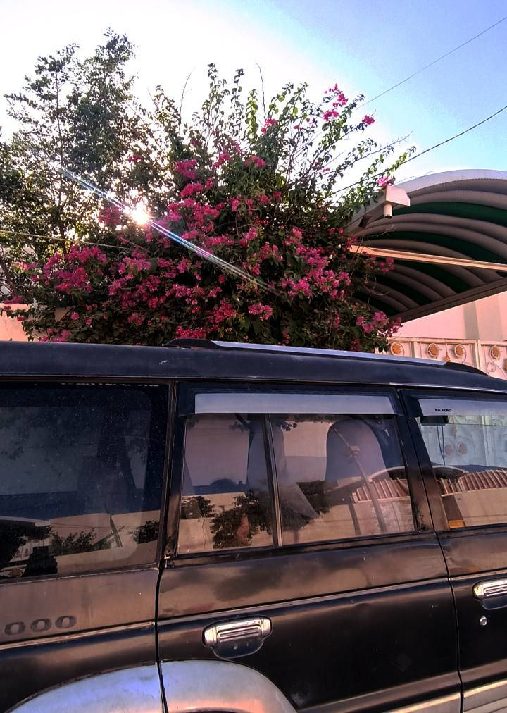 باجيرو موديل 1996 محرك vvt 3000 محورة غاز بعدة بالضمان ما عبر سنة دواخل نظيفة السيارة بأسمي سنوية لغاية 2029 النجف, العراق


**إذا كنت صاحب هذا الإعلان وتريد حذفه لأي سبب، رجاءا أرسل رسالة إلى الدعم الفني**