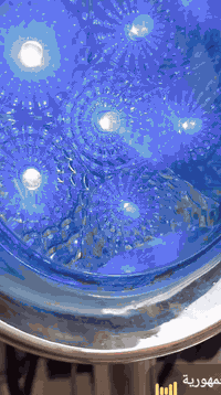 ستوته • موديل ١٢ • اوراق اصلي