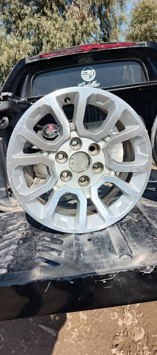 السلام عليكم للبيع تخم ويل كب جمسي حجم ١٨ موديل ١٨  اصلي ختم GM السعر 3 اوراق وبي مجال اتصل ‏‏‪‏***********
