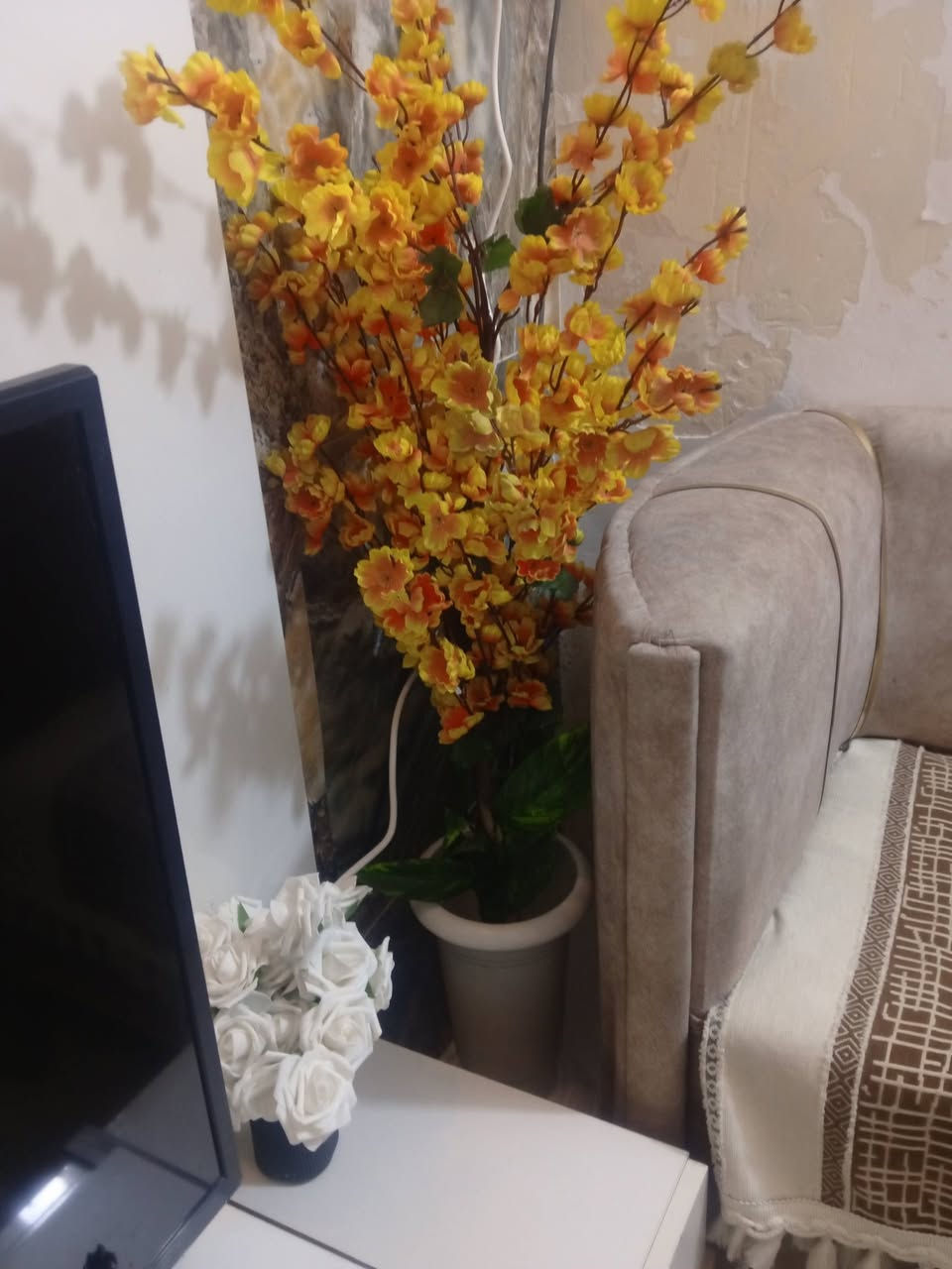 غراض بيت نظيفه للبيع


**إذا كنت صاحب هذا الإعلان وتريد حذفه لأي سبب، رجاءا أرسل رسالة إلى الدعم الفني**