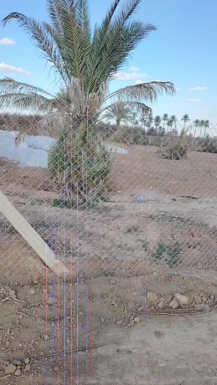 لا دور ولا تحتار نحنو الاختيار نشتقل كافه السيم البيرسي كرسته وعمل وبانسب الأسعار والسياجات وبساتين التواصل *********** واحنه بل خدمه
