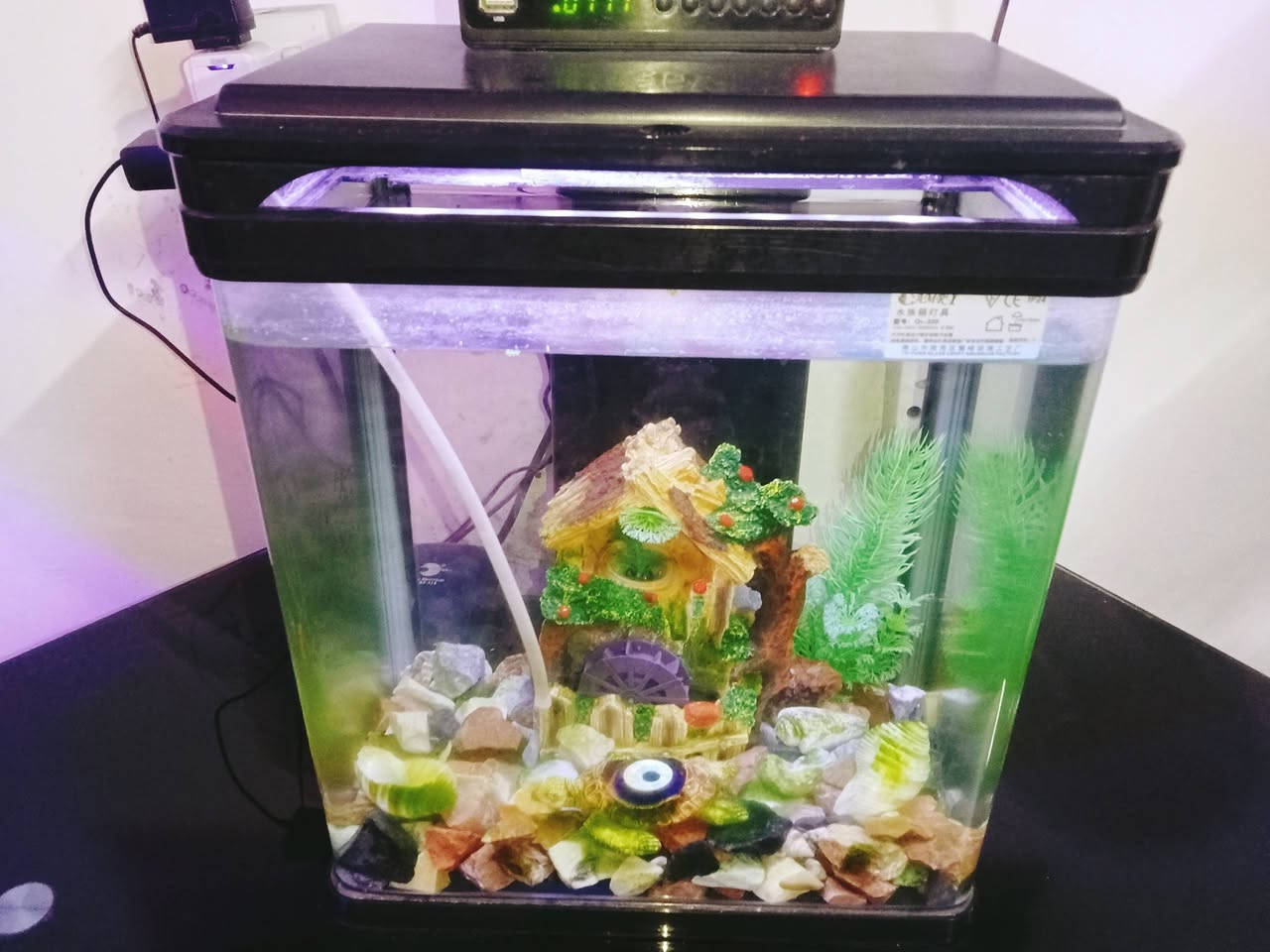 السلام عليكم حوض سمك للبيع السعر 35 مع الماطور والغراض مالته الحصو والنافوره اللي بداخله مكان بغداد رقم تليفون واتساب ***********
