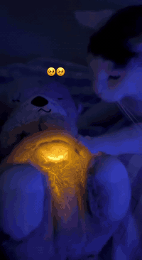 دمية دب نائم • فيشر برايس • لحديثي الولادة