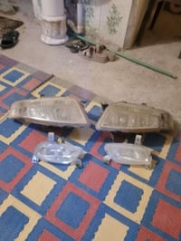 نضيفات ابلاديات • فطر بسيط • قرب بسماية بغداد